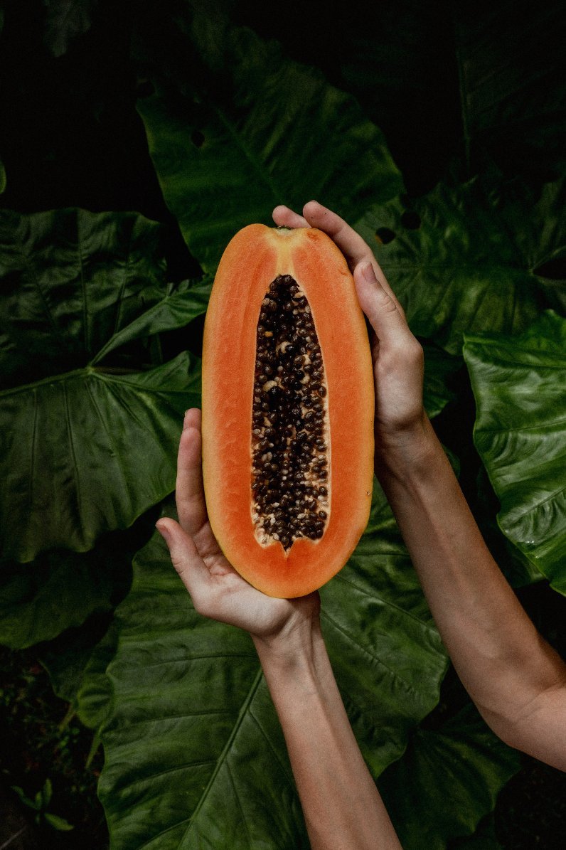 Exclusive Offer! - Plants Are Food